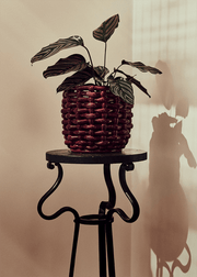 Burgundy Basketweave Planter