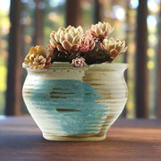 Handmade rustic blue-painted flowerpot
