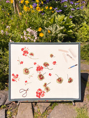 Geranium cuttings framed embroidered canvas