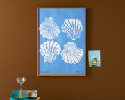 Pilgrim Print | Sea Blue