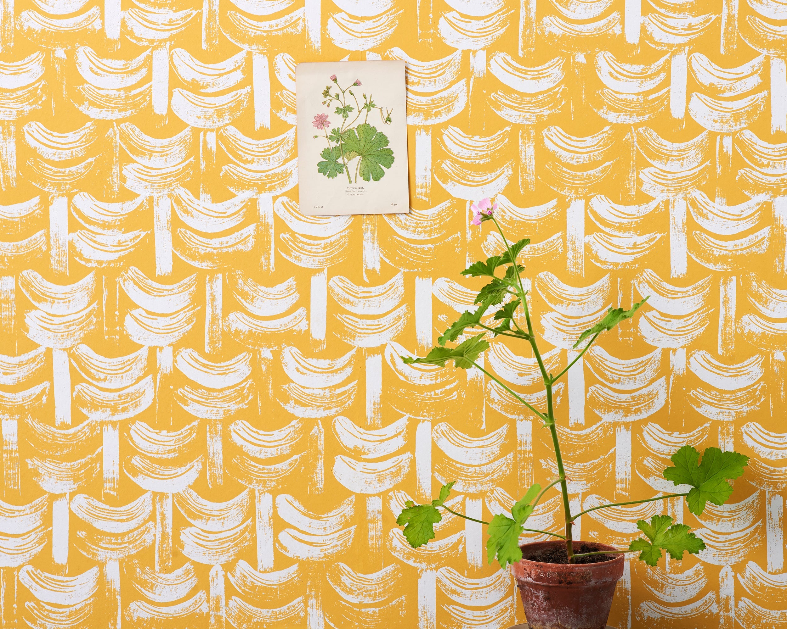 Basket Wallpaper | Straw