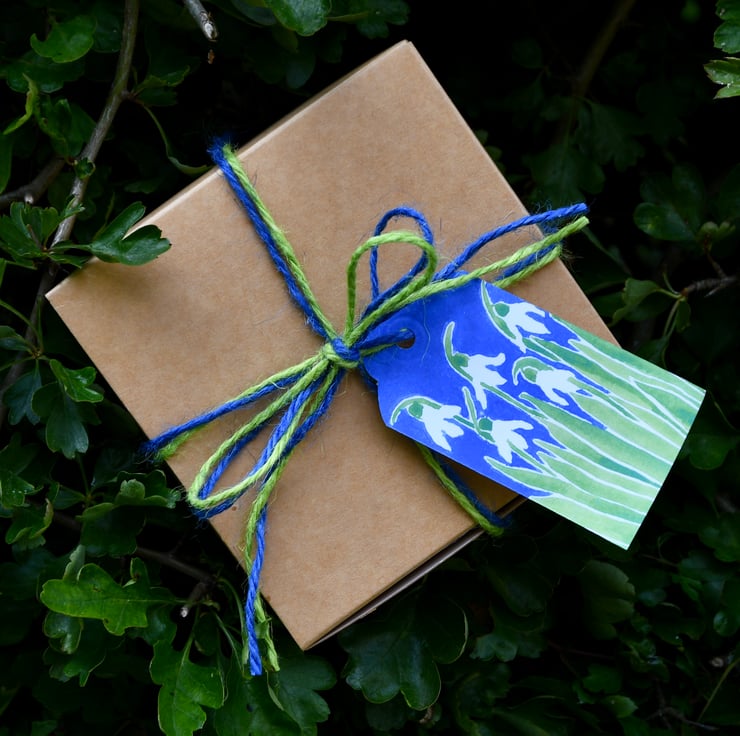 Snowdrop Country Mug - Hand Painted