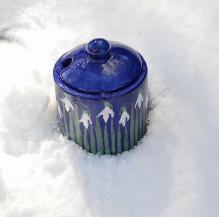 Snowdrop Sugar Pot - Hand Painted