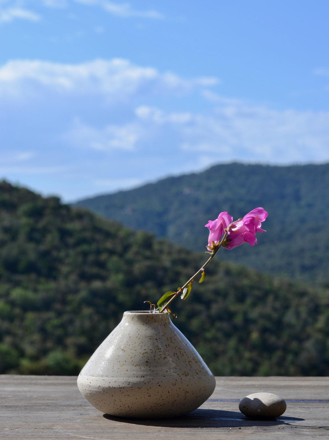 Speckled Clay Ikebana Vases | Japanese Vase