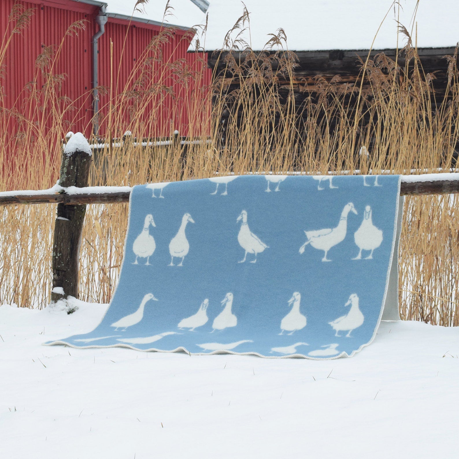 Blue Duck Wool Blanket | Blue and Off White Throw for Chair, Bed & Sofa | Fully Reversible