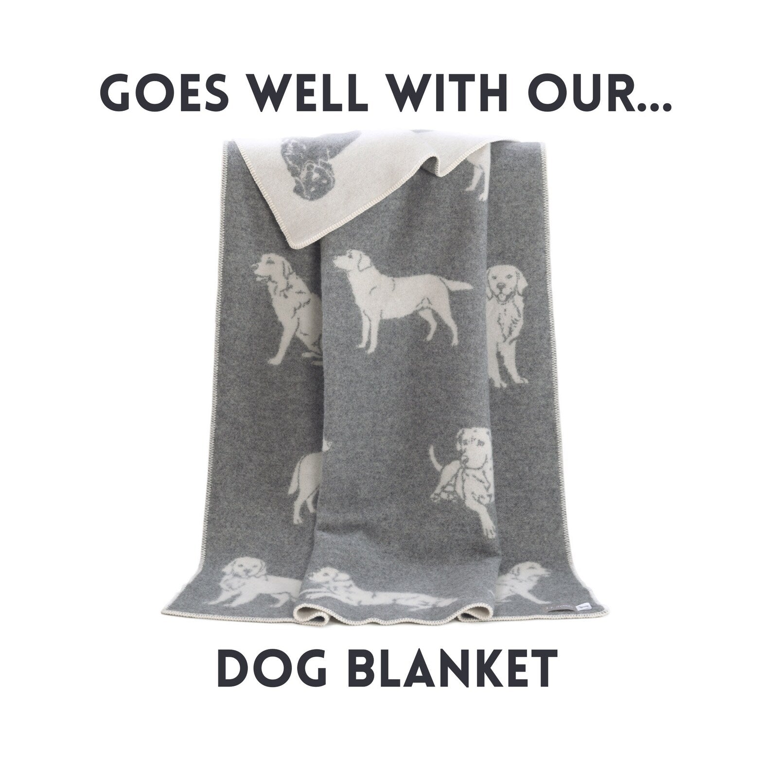 Dog Cushion Cover | Pure Wool Reversible Labrador Pillowcase |