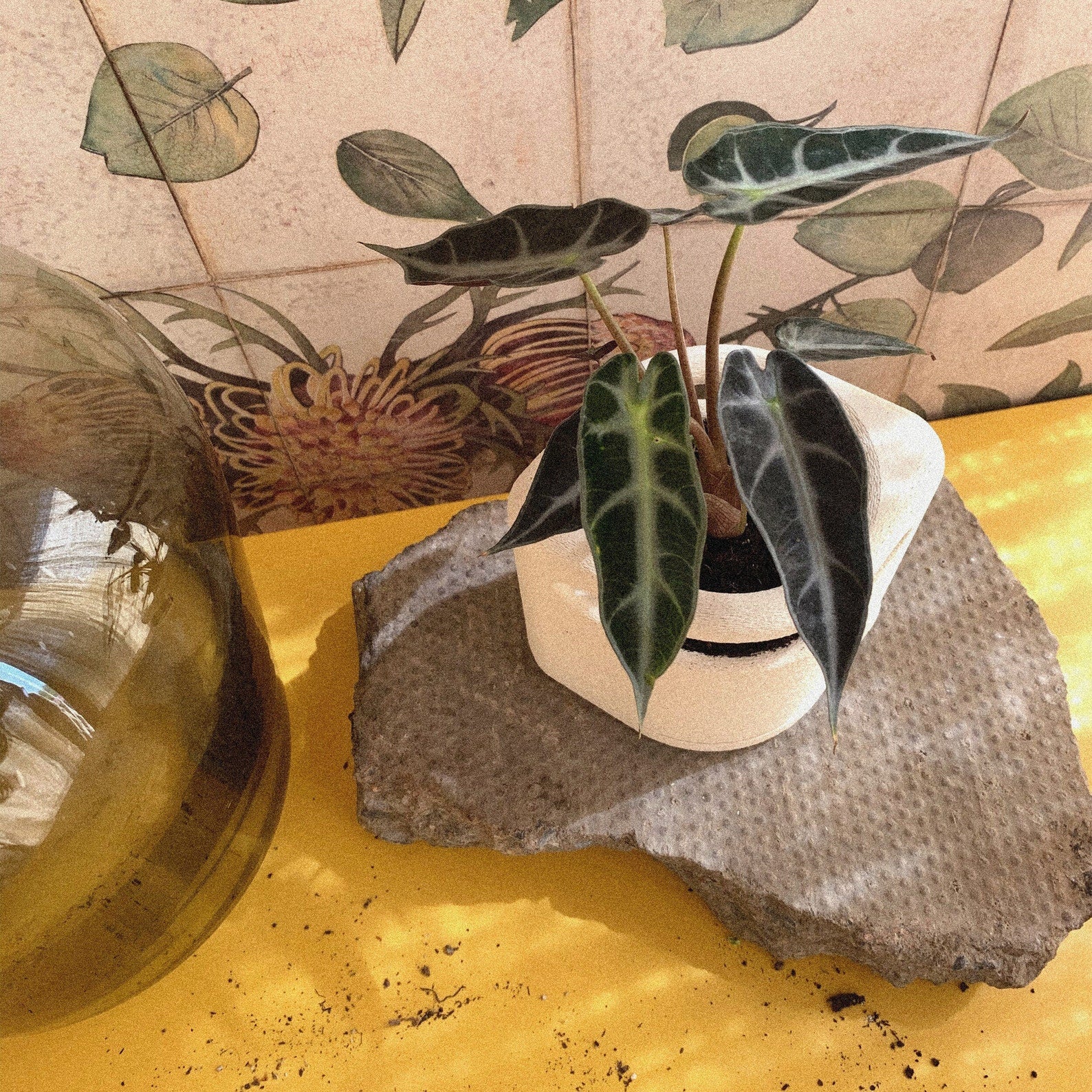 Sui Sandstone | Minimal Decor | 3D Printed Planter | Eco Friendly |