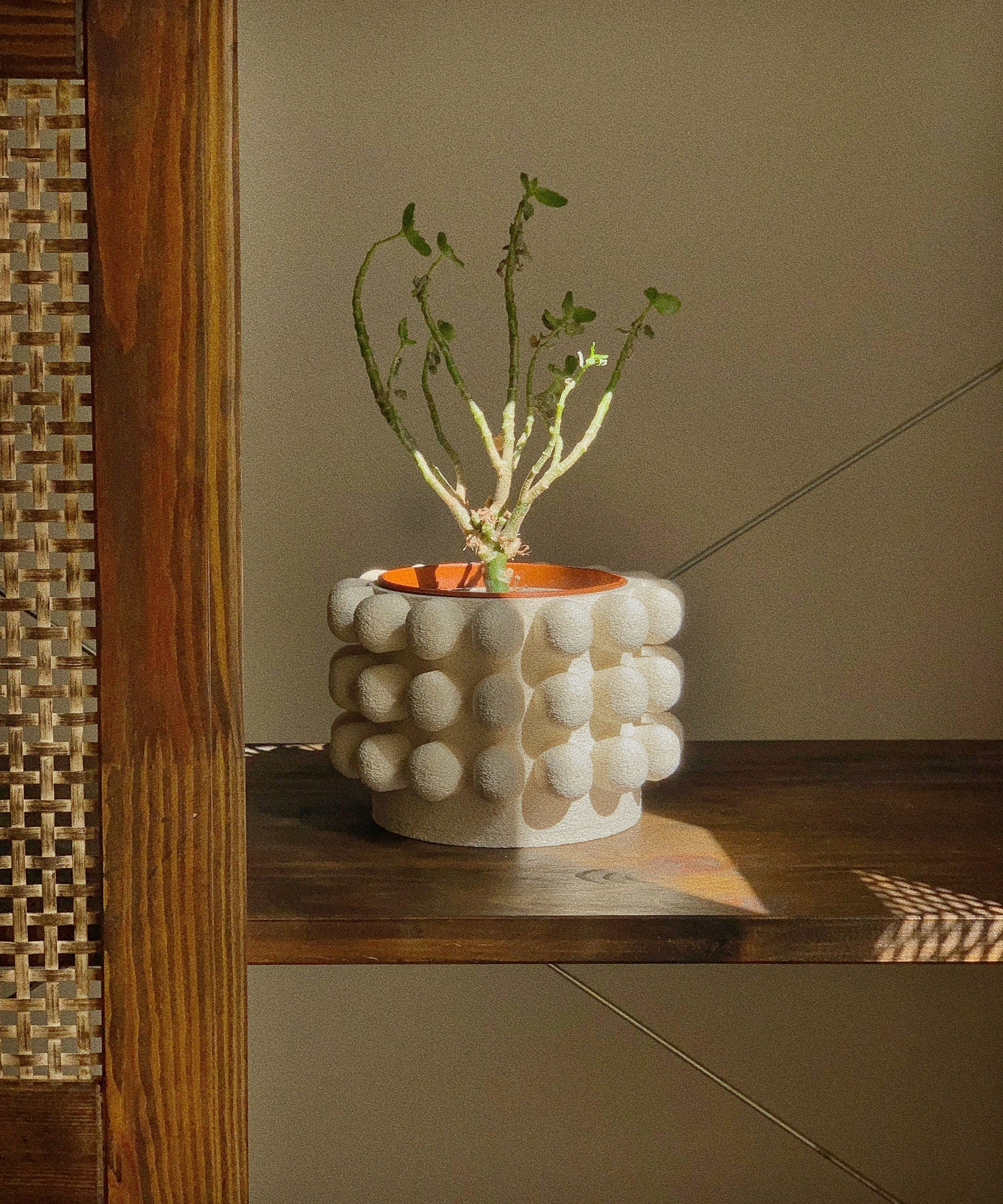 Mono Sandstone | Minimal Decor | 3D Printed Planter 02 | Eco Friendly |