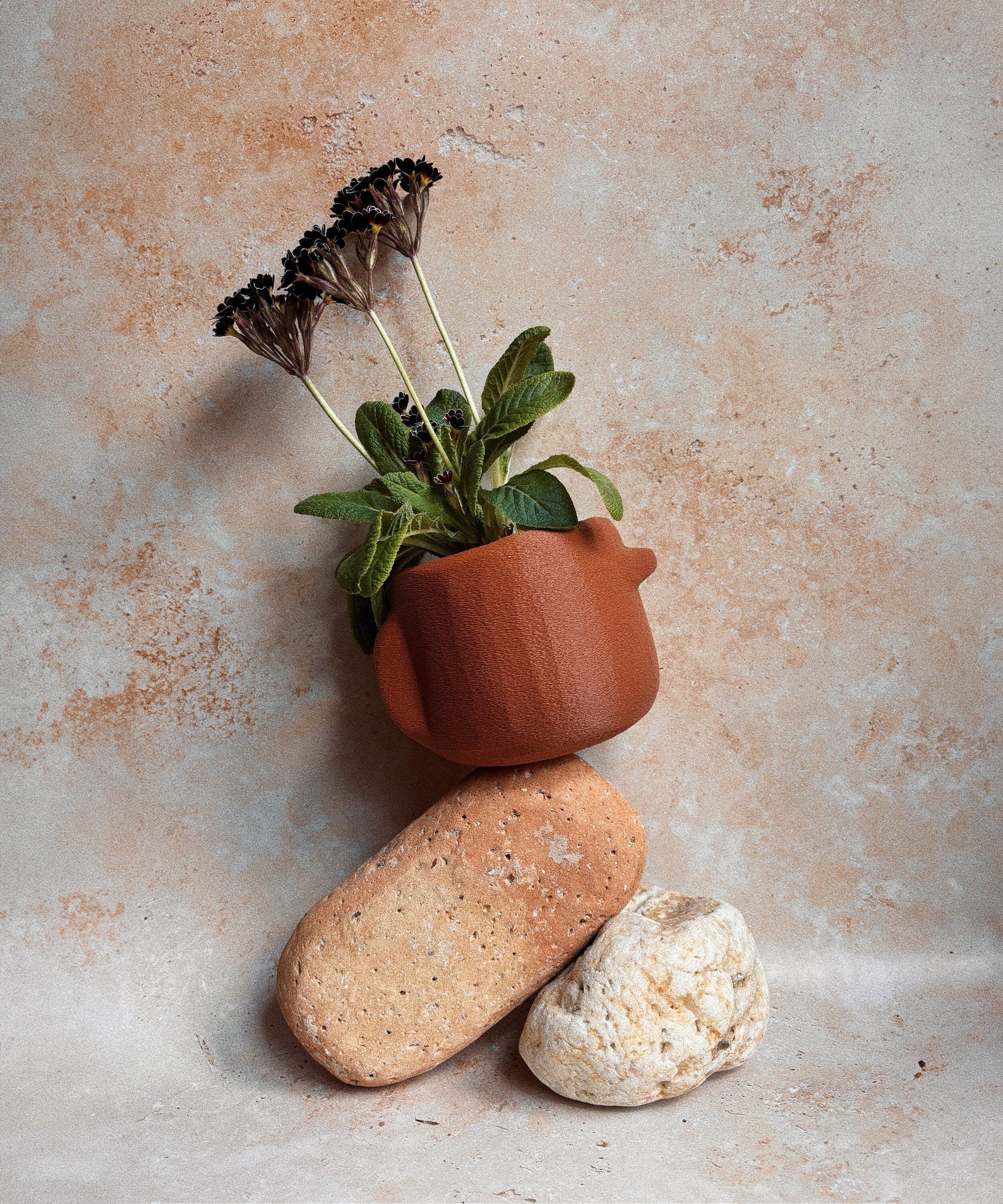 Nova | Terracotta | Minimal Decor | 3D Printed Planter | Eco Friendly |