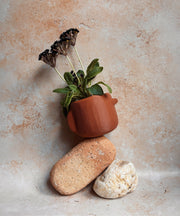 Nova | Terracotta | Minimal Decor | 3D Printed Planter | Eco Friendly |