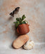 Nova | Terracotta | Minimal Decor | 3D Printed Planter | Eco Friendly |