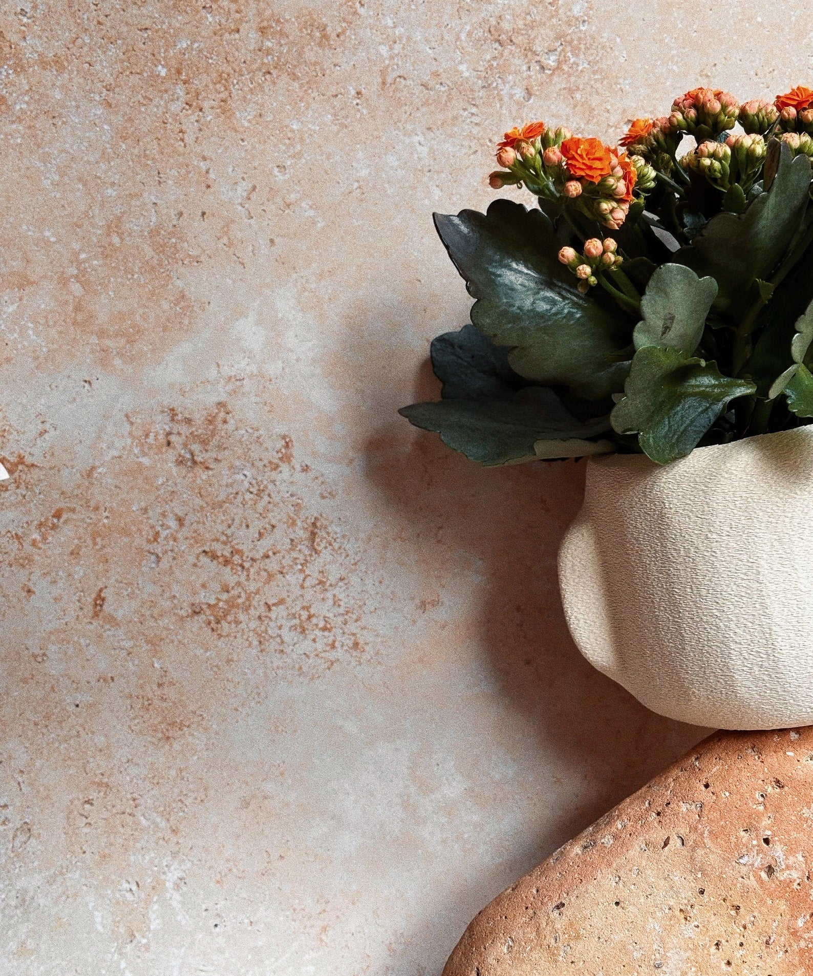 Nova | Beige | Minimal Decor | 3D Printed Planter | Eco Friendly |