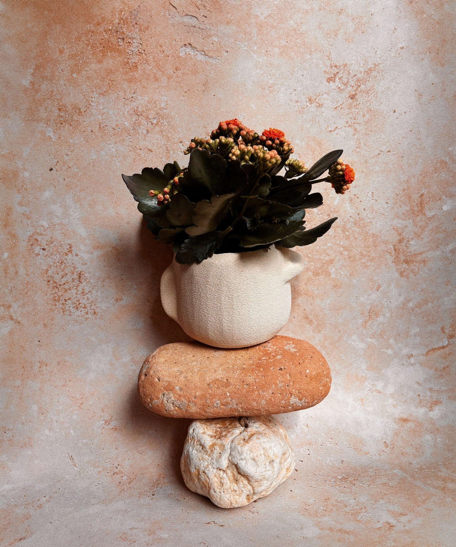 Nova | Beige | Minimal Decor | 3D Printed Planter | Eco Friendly |