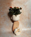Nova | Beige | Minimal Decor | 3D Printed Planter | Eco Friendly |