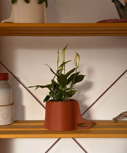 Mobi | Terracotta | Minimal Decor | 3D Printed Planter | Eco Friendly |