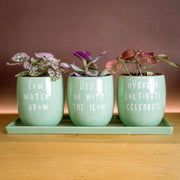 Set of 3 Slogan Ceramic Indoor Planters with Matching Tray