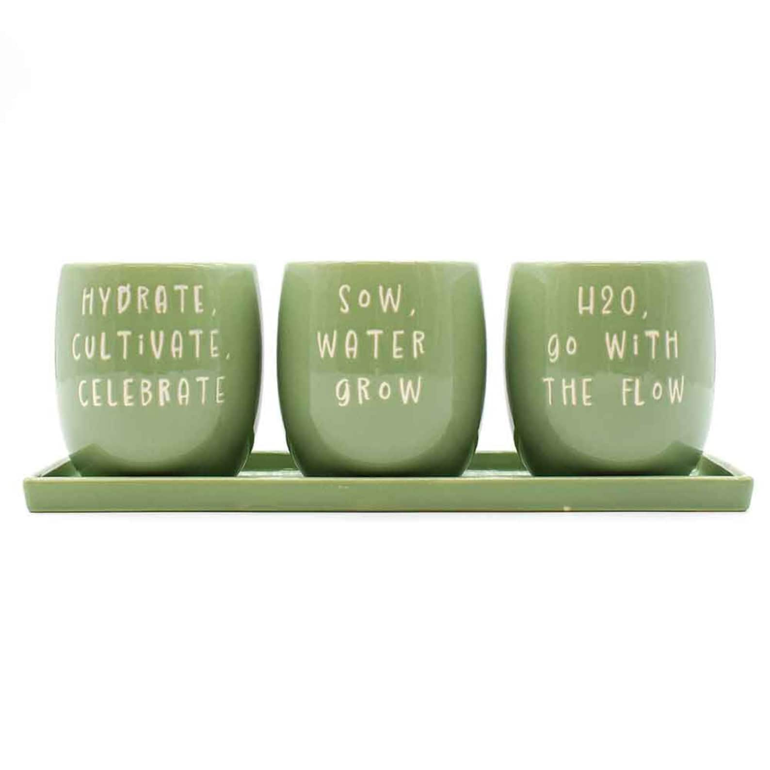 Set of 3 Slogan Ceramic Indoor Planters with Matching Tray