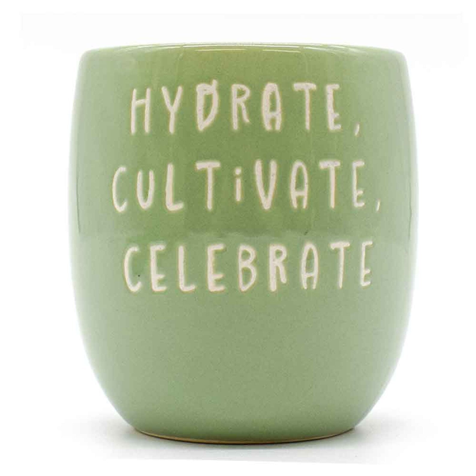 Set of 3 Slogan Ceramic Indoor Planters with Matching Tray