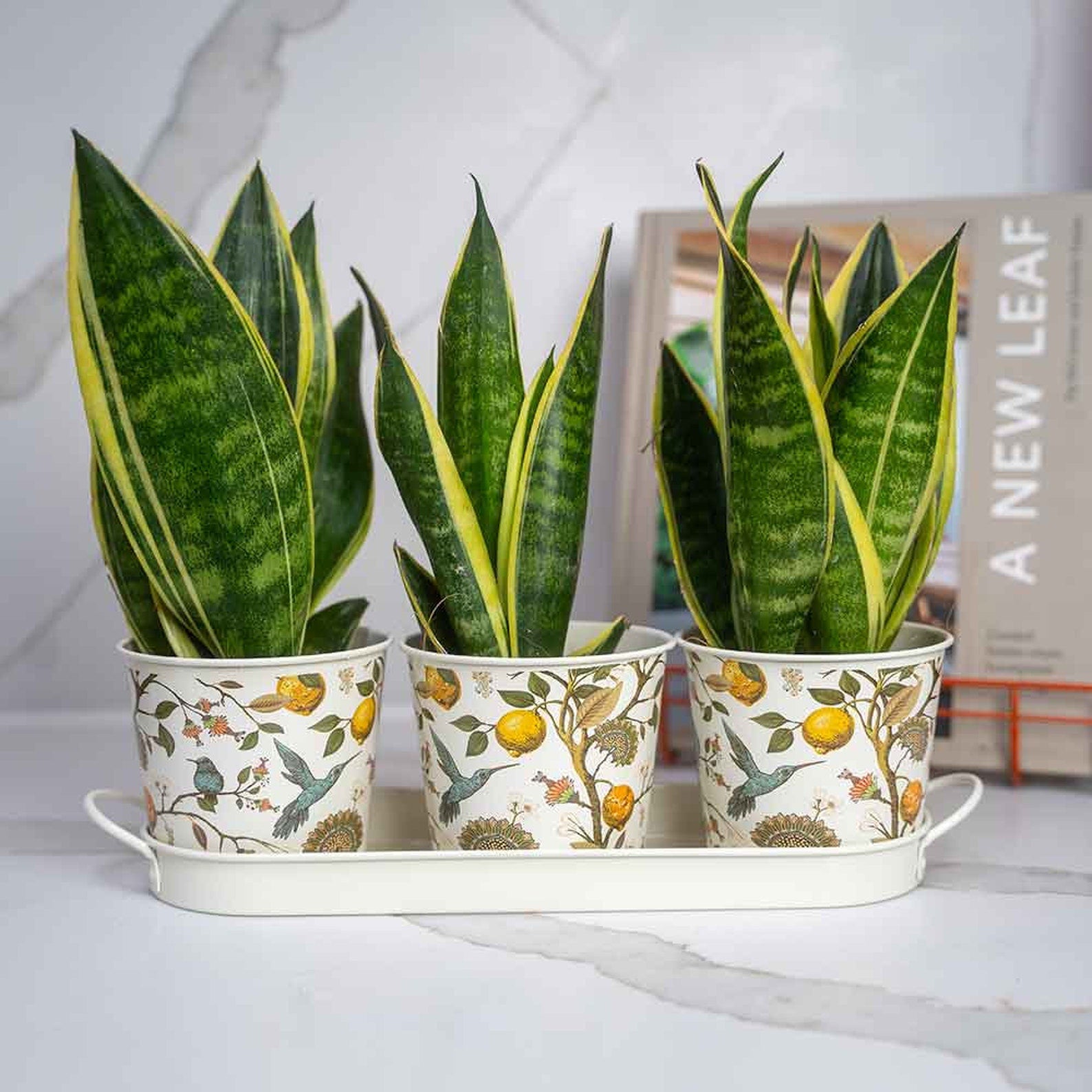 Gardening Company Set of 3 Floral Design Metal Planters with Tray