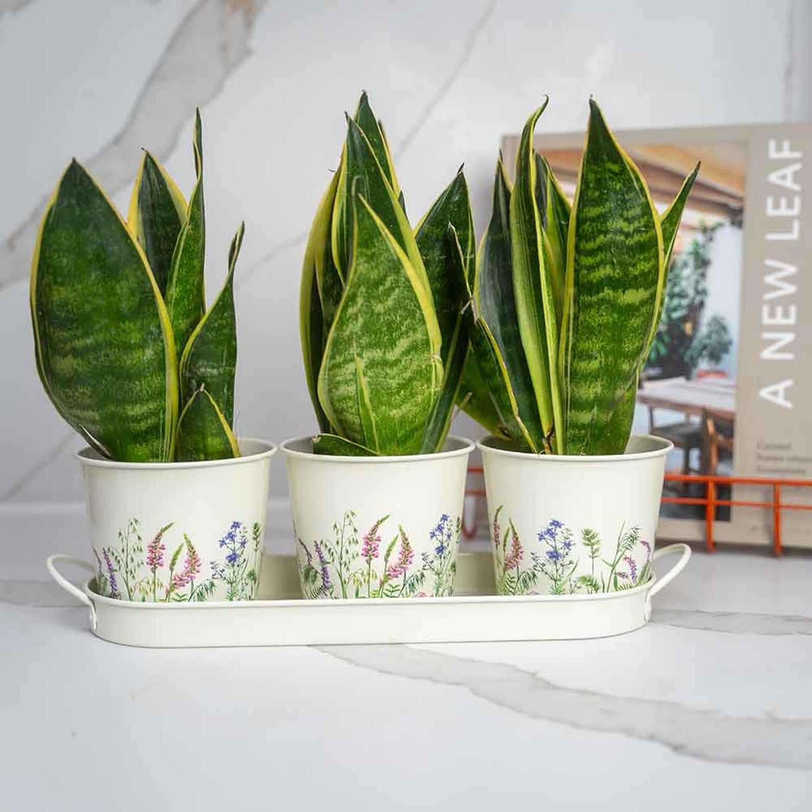 Gardening Company Set of 3 Floral Design Metal Planters with Tray