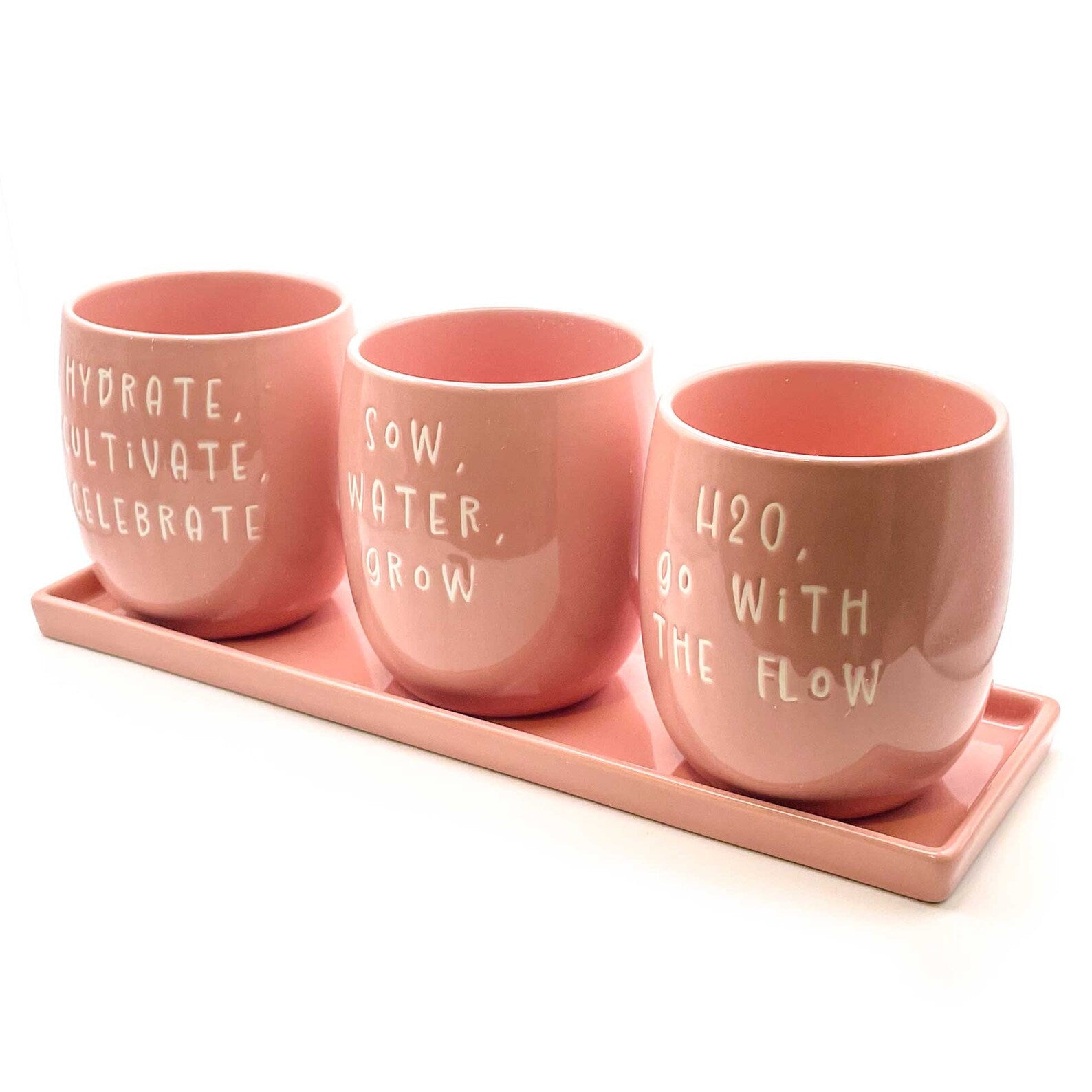 Set of 3 Slogan Ceramic Indoor Planters with Matching Tray