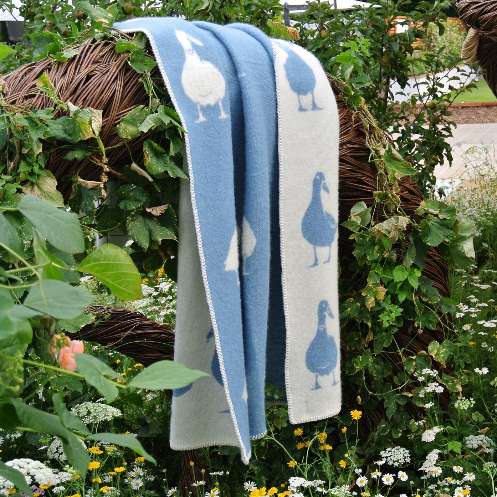 Blue Duck Wool Blanket | Blue and Off White Throw for Chair, Bed & Sofa | Fully Reversible