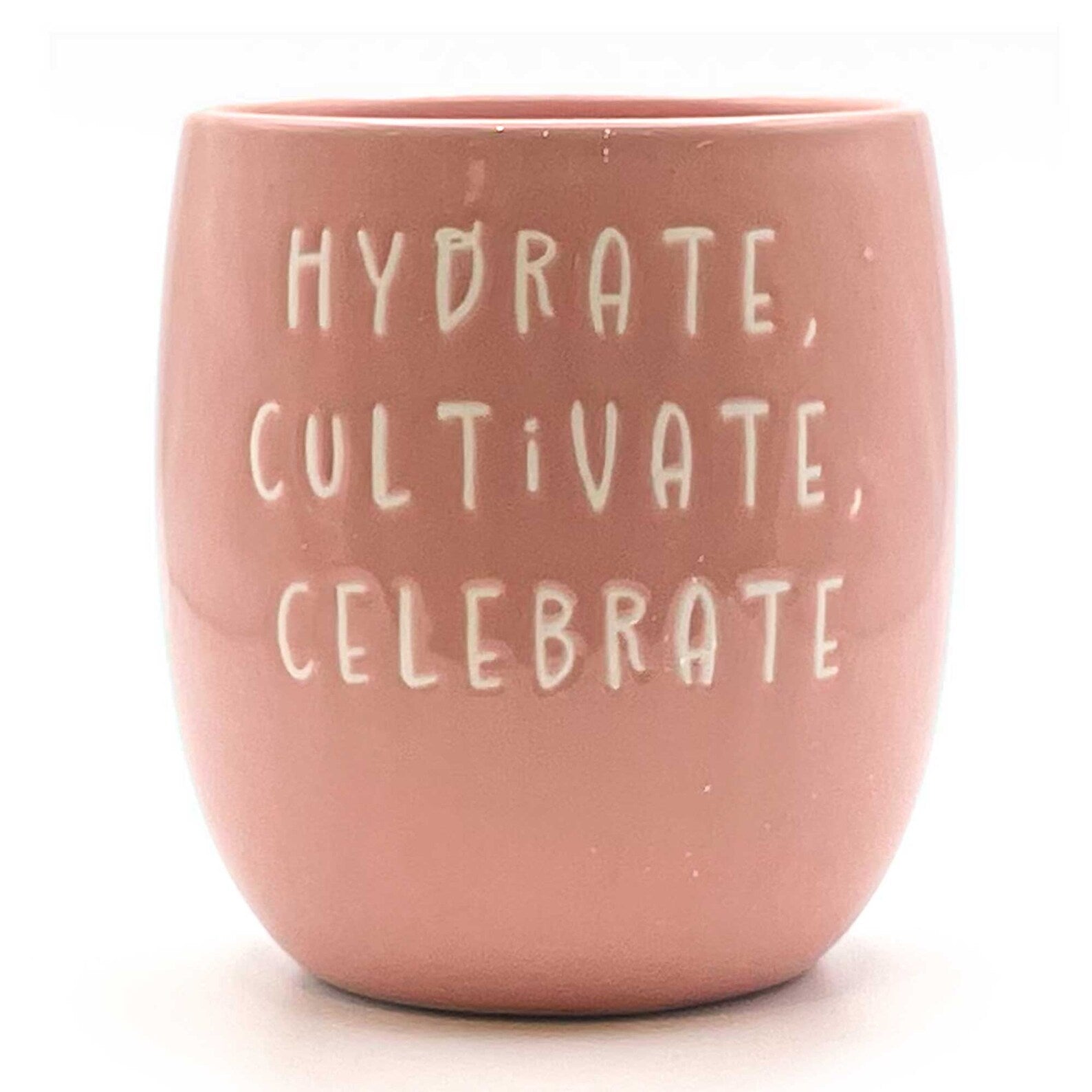 Set of 3 Slogan Ceramic Indoor Planters with Matching Tray