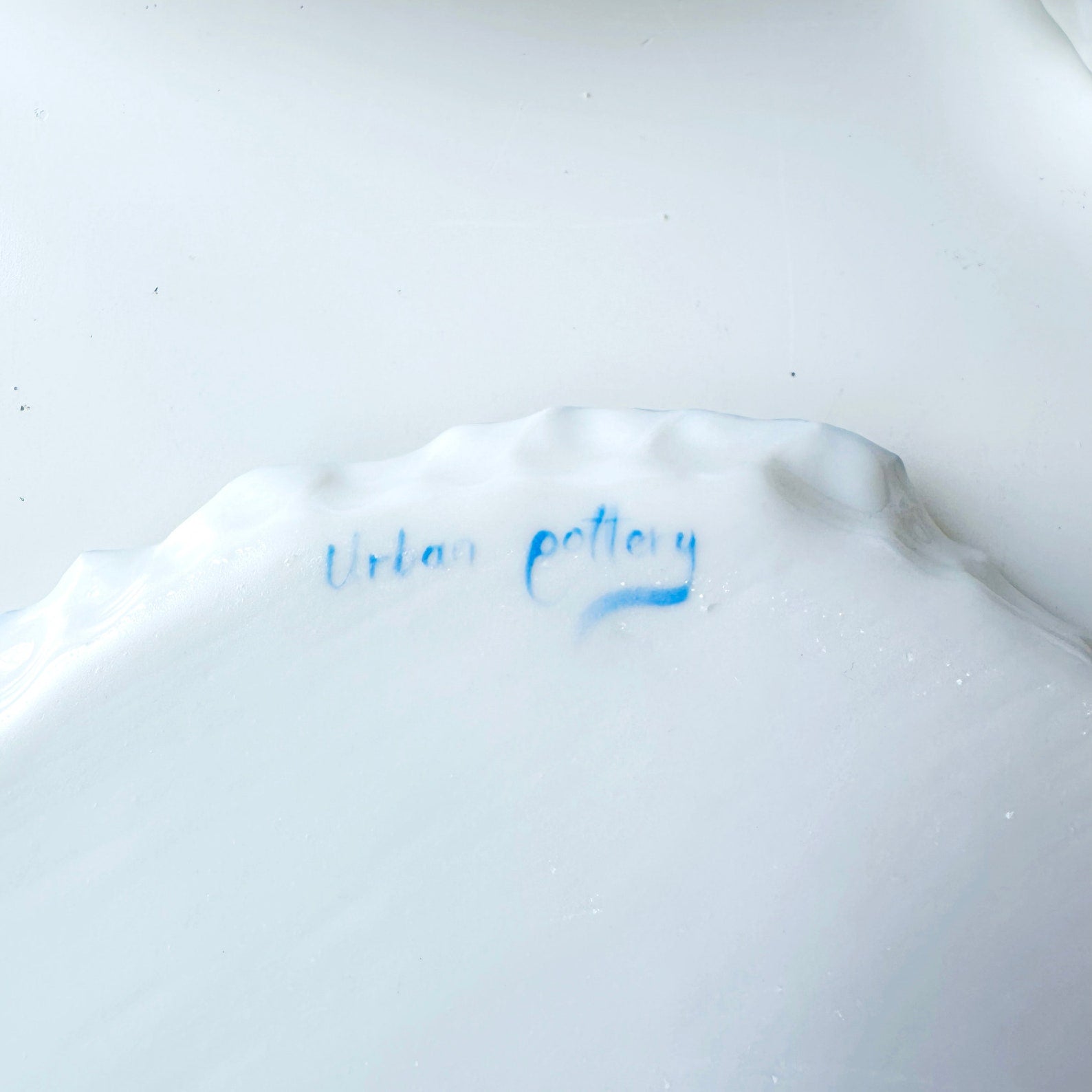 Azure Ring Porcelain Plate