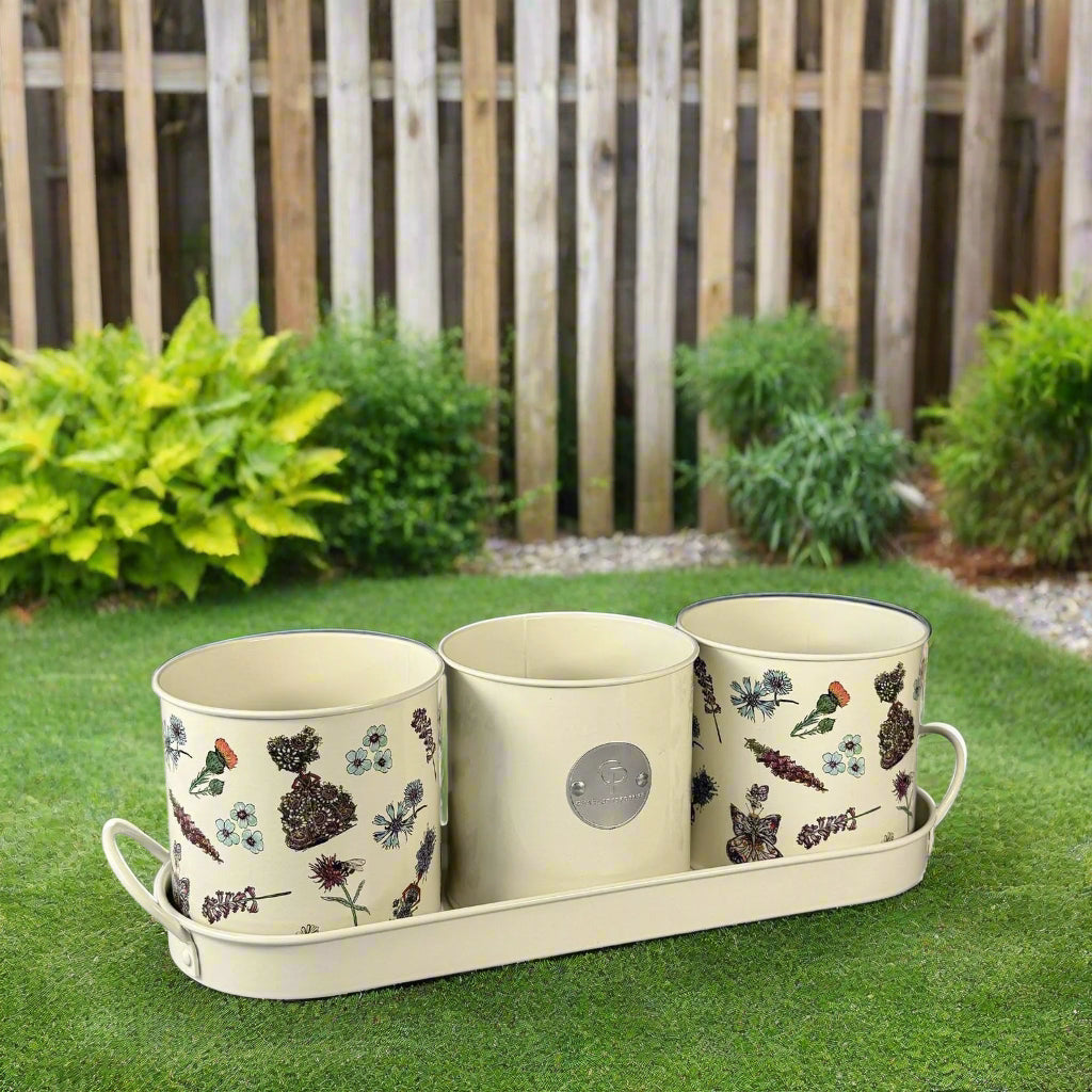 Charlotte Posner Scatter Design Planters – Set of 3 with Matching Tray