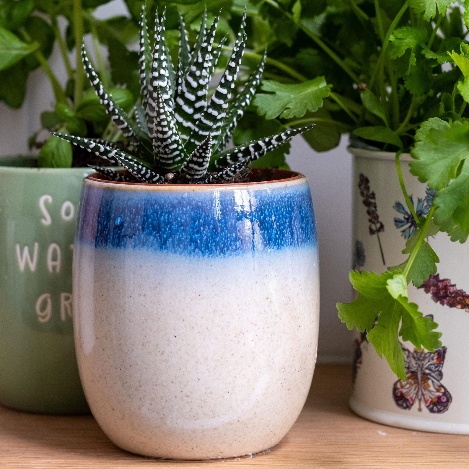 Scandi Home Blue & Cream Reactive Glaze Planters – Set of 3 with Tray