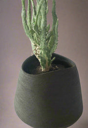 Contemporary Large Ceramic Planter - Indoor & Outdoor