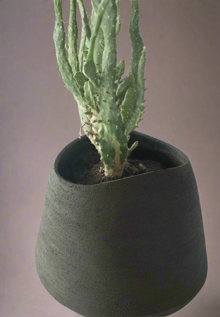Contemporary Large Ceramic Planter - Indoor & Outdoor
