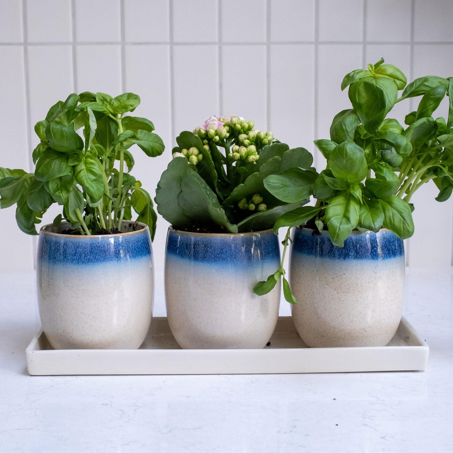 Scandi Home Blue & Cream Reactive Glaze Planters – Set of 3 with Tray