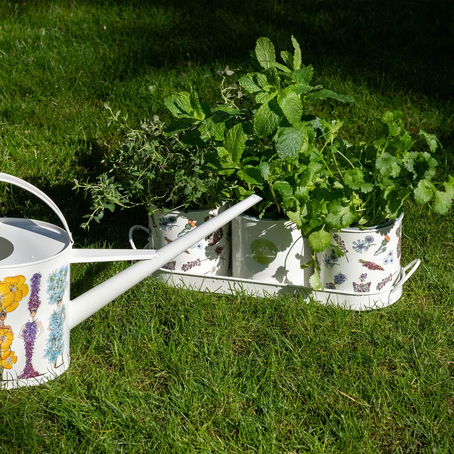Charlotte Posner Scatter Design Planters – Set of 3 with Matching Tray