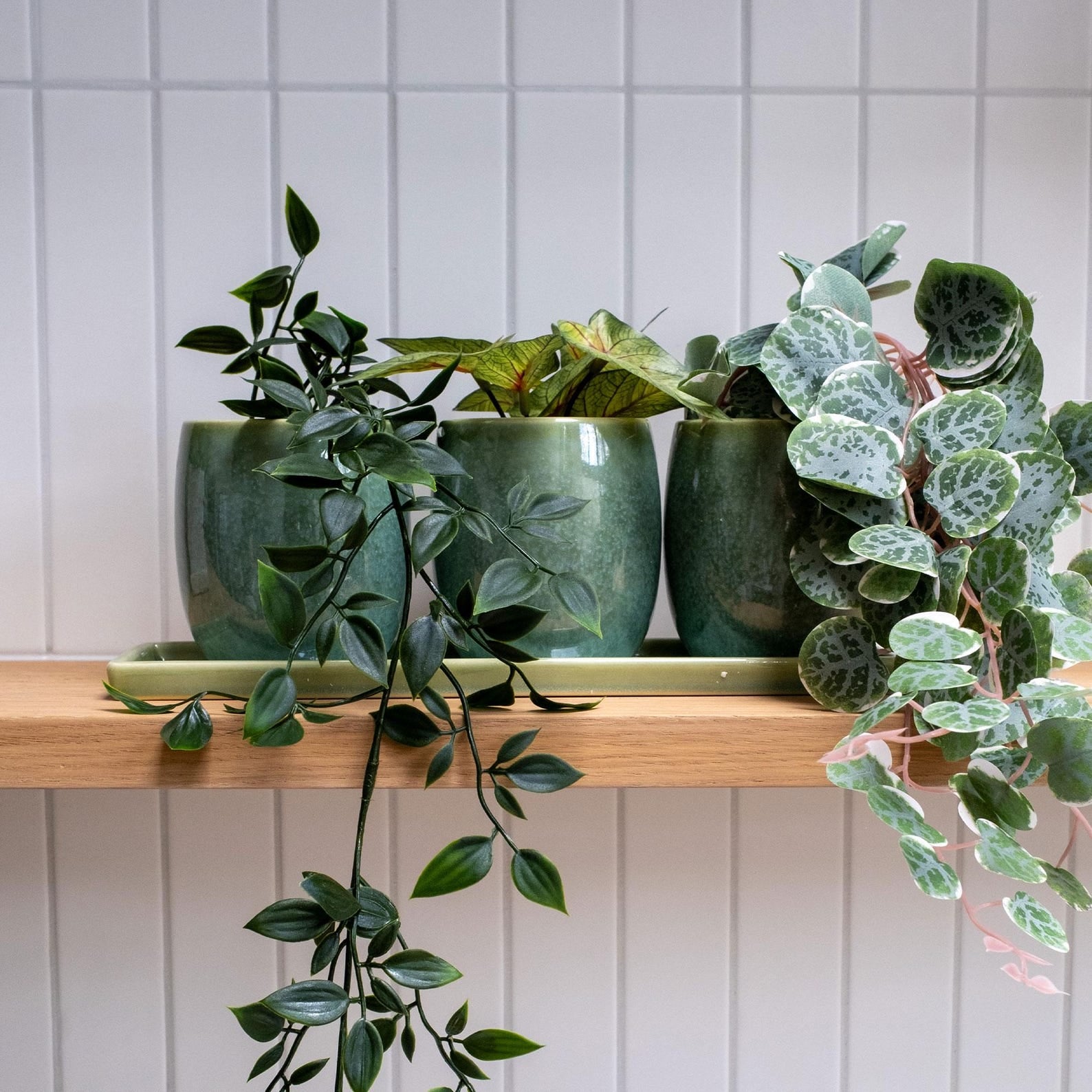 Scandi Home Set of 3 Green Reactive Glazed Ceramic Planters with Tray