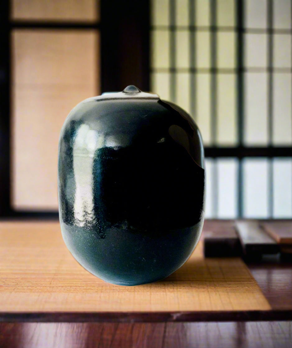 Modern shiny black ceramic vase - modern Japanese style