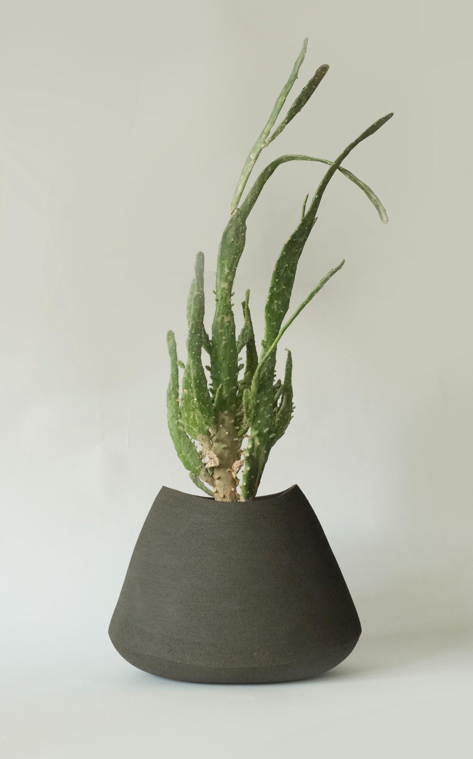 Contemporary Large Ceramic Planter - Indoor & Outdoor
