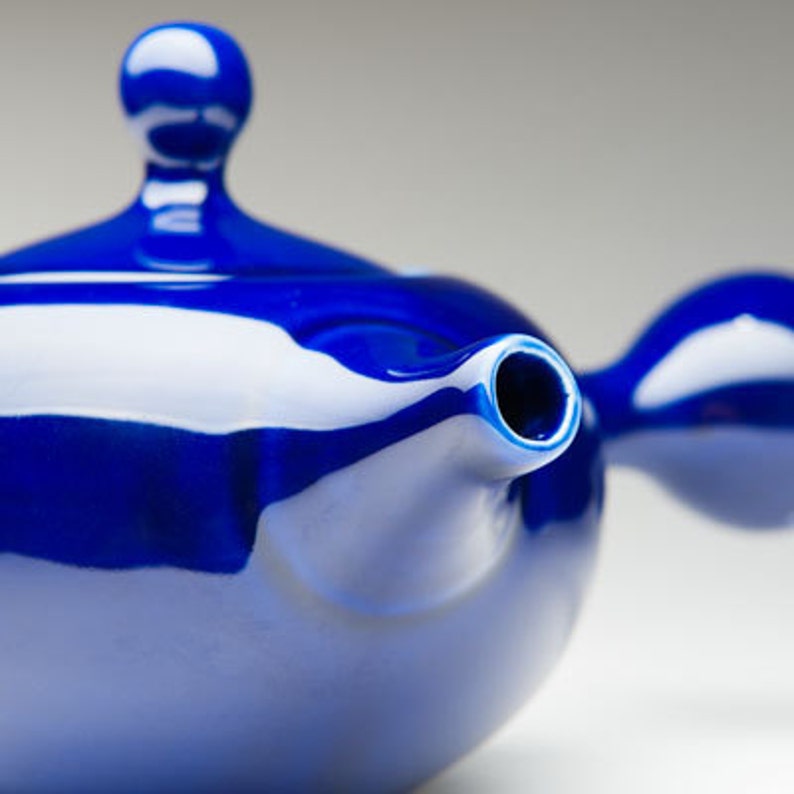 Japanese Tea Pot With Infuser | Kyusu Teapot