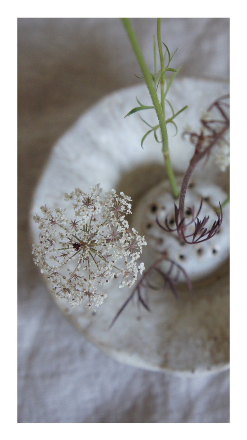 Japanese flower arranging Ikebana in cream off white Glaze