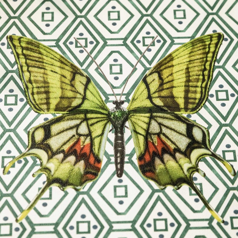 SET OF FOUR Green Butterfly Placemats, Lightly Waterproof