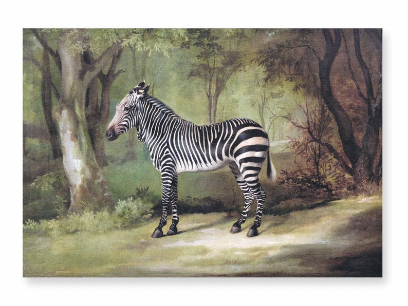 Zebra (1763) George Stubbs Linen Placemats | 100% linen (6 Placemats)