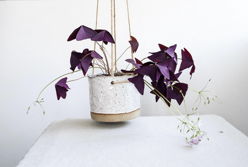 Speckled Clay Hanging Planter Pot in Glossy White Glaze