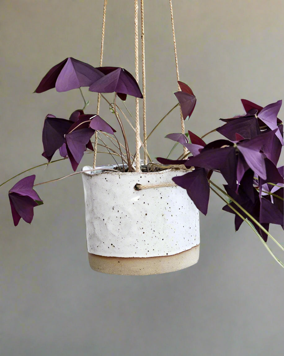 Speckled Clay Hanging Planter Pot in Glossy White Glaze