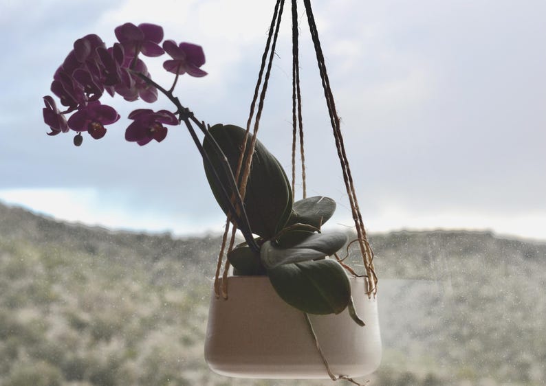 Hanging Ceramic Planter | White Flower Succulent Pot