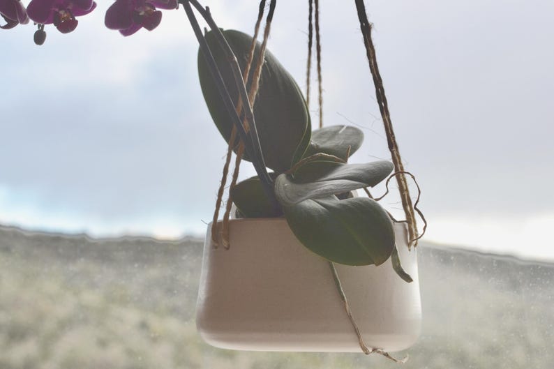 Hanging Ceramic Planter | White Flower Succulent Pot
