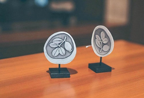 Sterling Silver Stud Earrings With Flowers Arrayan
