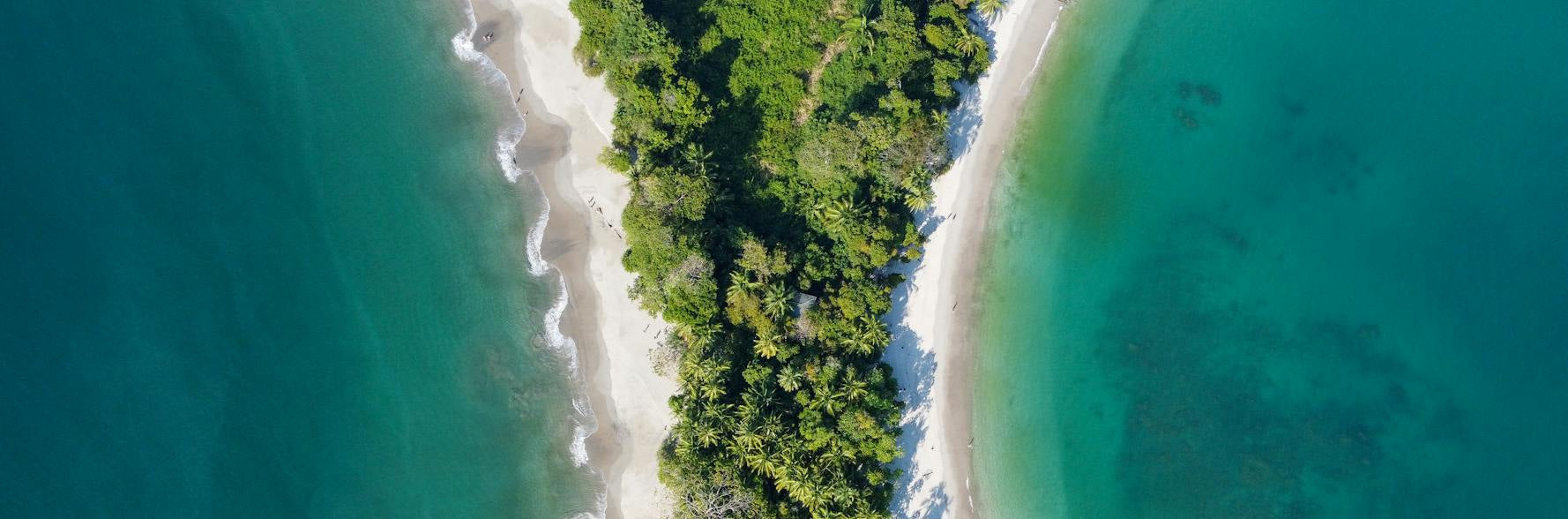 Aerial view of a lush green forested area along a coastline with clear blue water.