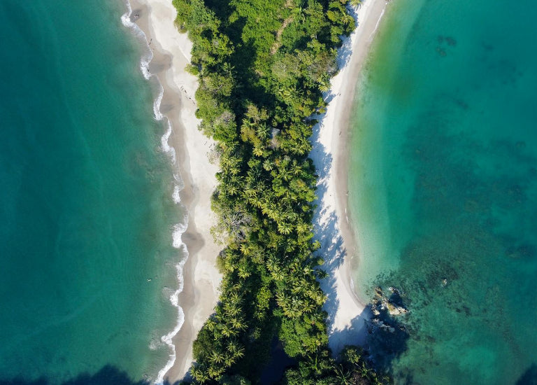 Aerial view of a lush green forested area along a coastline with clear blue water.