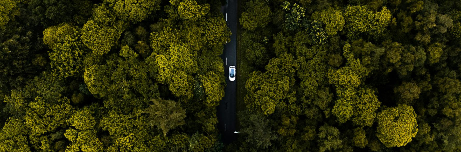 Aerial view of a road cutting through a dense forest