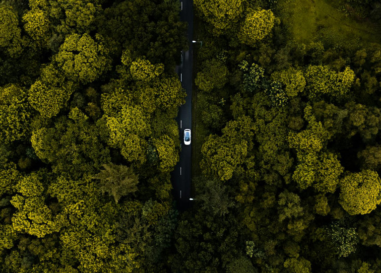 Aerial view of a road cutting through a dense forest
